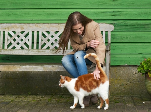 A girl sitting on a bench petting a cat. 