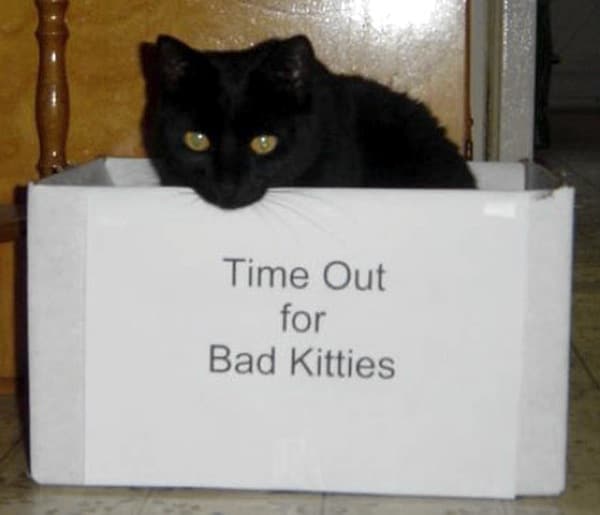 A Bad Kitty Christmas