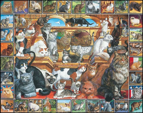 7-fun-cat-themed-games-for-the-feline-focused-family-catster