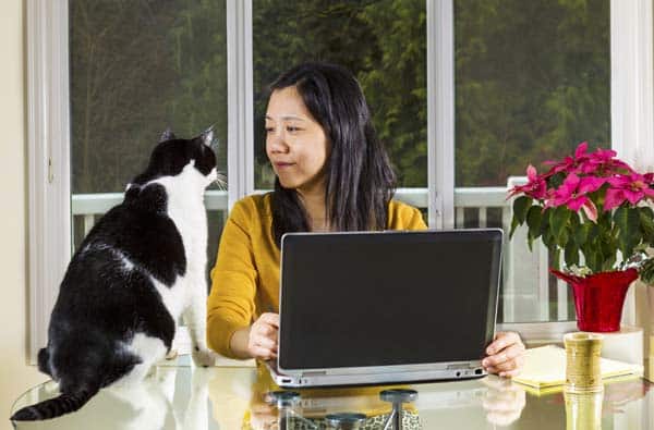 A woman at her computer with a black and white cat.