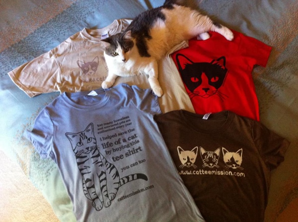 t shirt shop on harwin