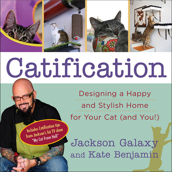 Dandy toys case study 07 image