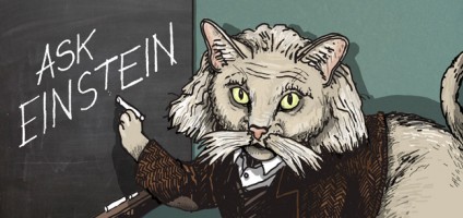 Ask Einstein: How Do You Bottle-Feed an Orphan Kitten? - Catster Ask Einstein: How Do You Bottle-Feed an Orphan Kitten? - Catster