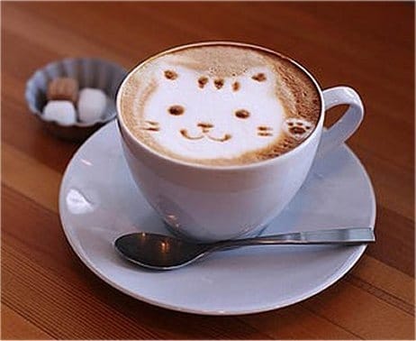 Check Out This Awesome Array Of Cat Coffee Art Check Out This Awesome Array Of Cat Coffee Art