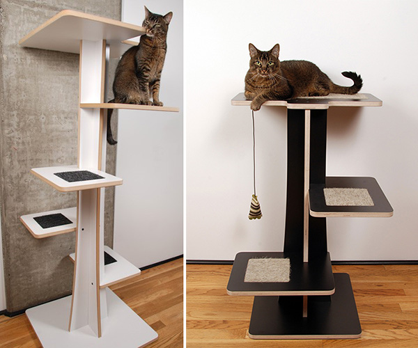 Human deals cat tree