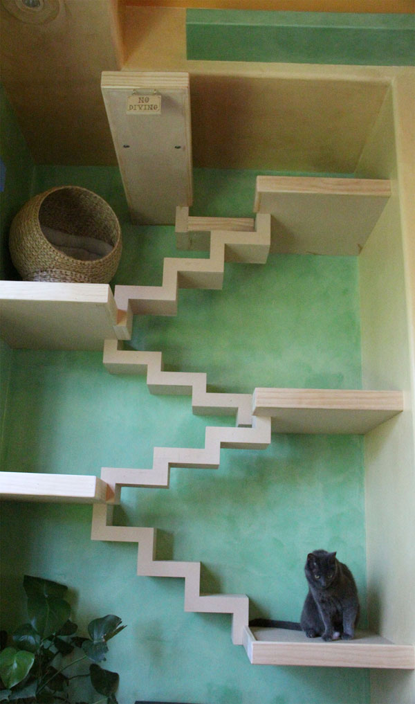 House Of Nekko How My Friend Made His Home A Cat Paradise Catster As I Regretfully Left House Of Nekko Call Me An Enabler But Encouraged Peter To Expand Into His Backyard The Enclosed And Lush Landscape Just Begs For