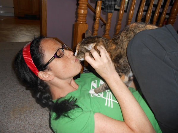 Do You Kiss Your Cat On The Lips Um I Do Catster