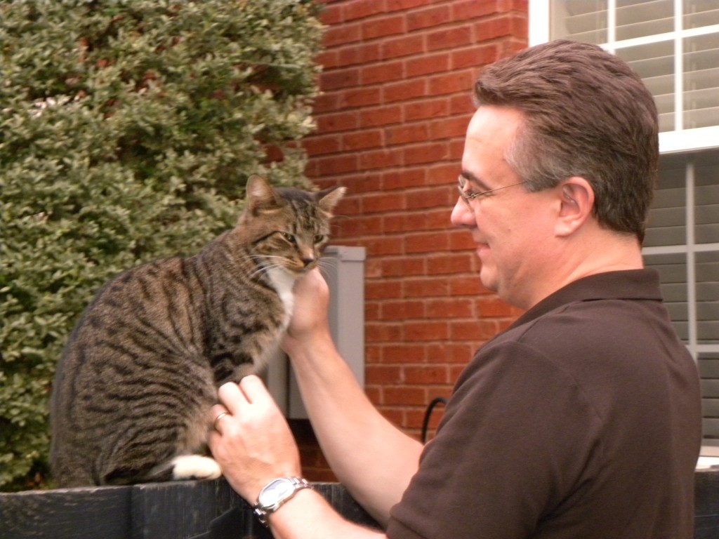 Let s Talk How Does Your Cat Greet You Catster