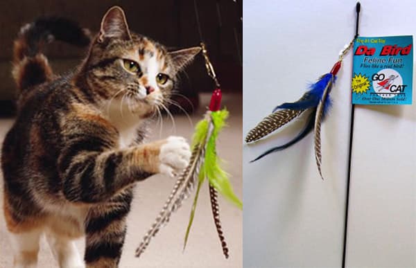 cat toys for lazy cats