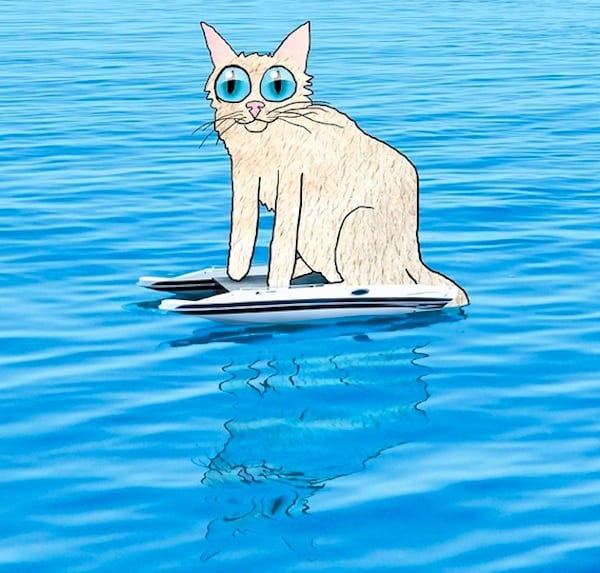 Alternative Rock Icon David Yow Creates Cat Pun Illustrations - Catster