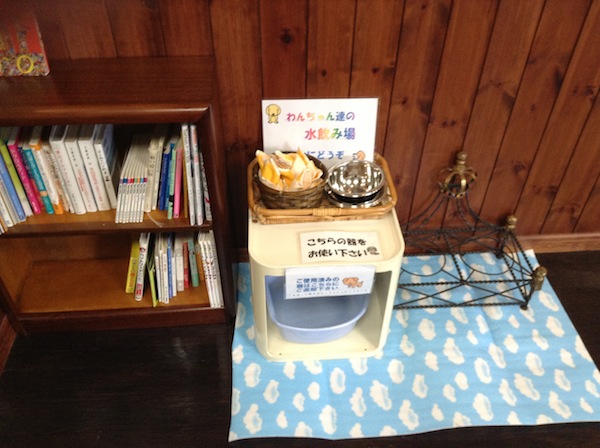 My First Vet Visit as a Resident of Japan Was a Huge Surprise - Catster