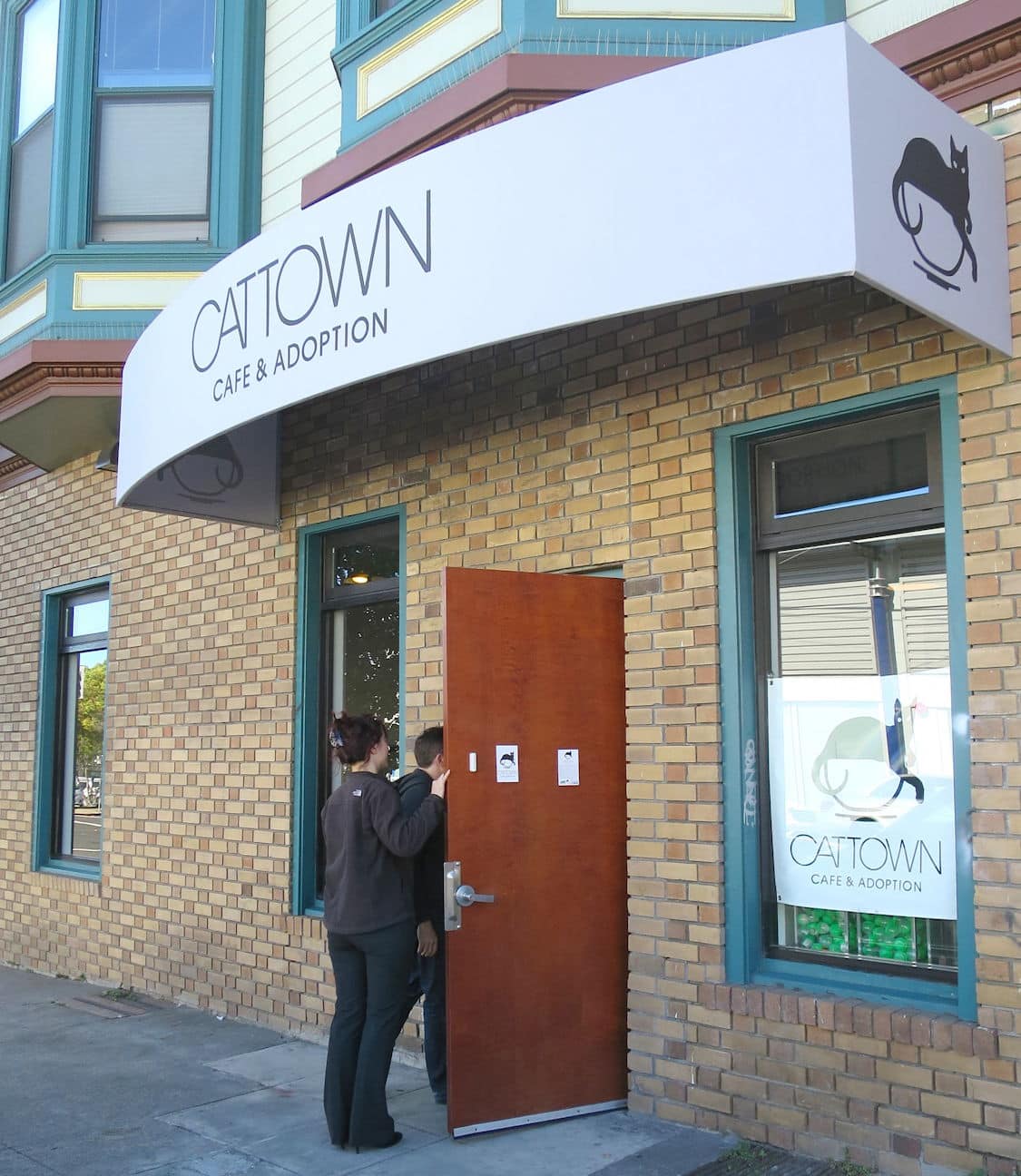 We Visit Oakland  s Cat  Town Cafe  the First Cat  Cafe  in 
