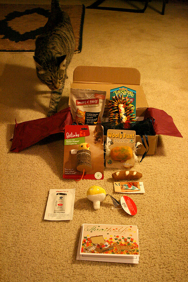 I Try a Subscription Box of Toys and Treats for My Cat Catster