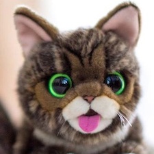 lil bub stuffed animal