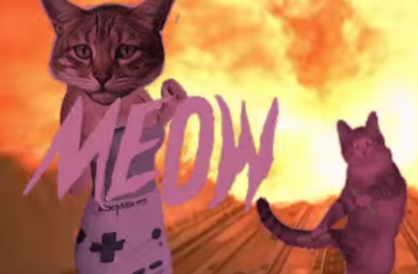 jelly cat rap cat