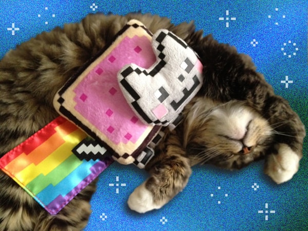 nyan cat plush toys r us