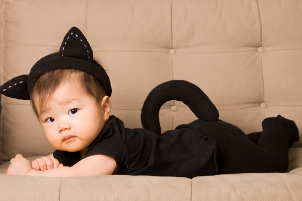 baby girl kitten costume