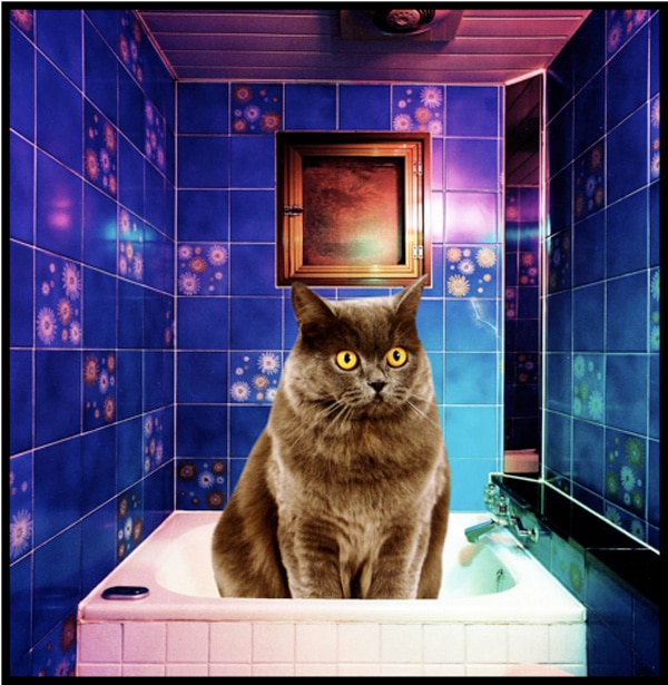 bath-tub-kittyEDIT_0.jpg