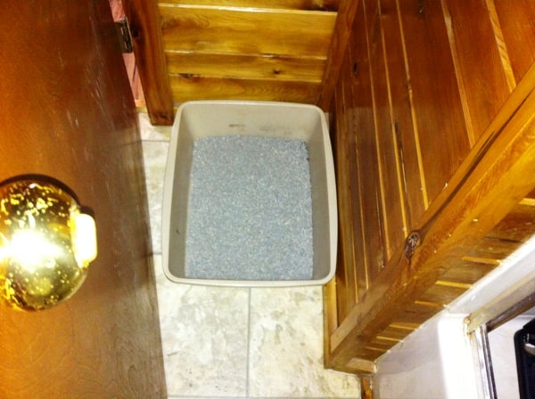under stairs cat litter