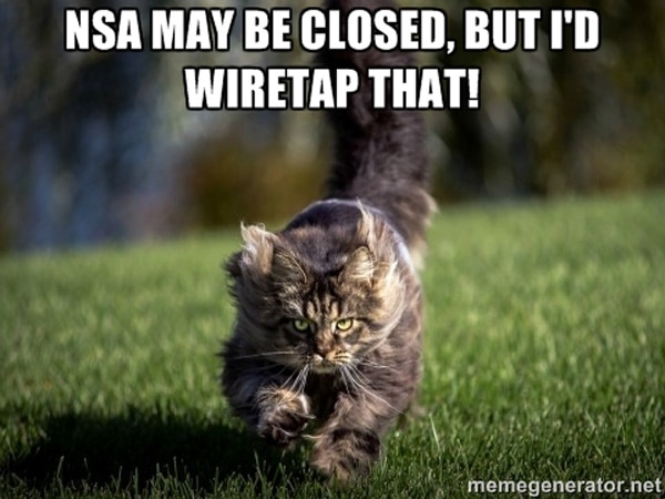 Meme Time: 9 Cats Using Pickup Lines from the Government Shutdown - Catster