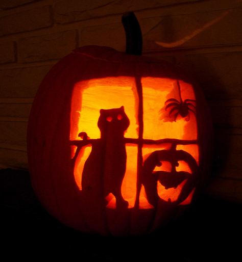 21 Incredible Cat Pumpkin Carvings Catster