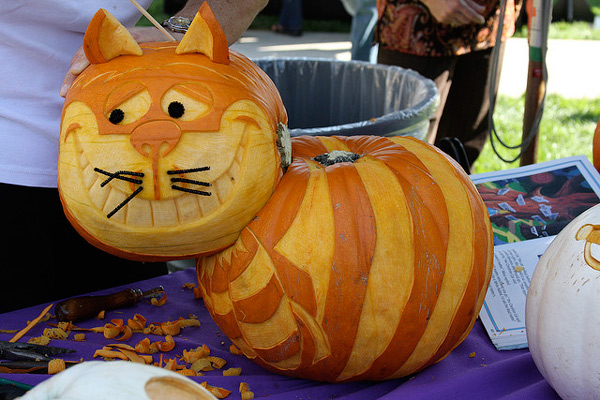 21 Incredible Cat Pumpkin Carvings Catster 