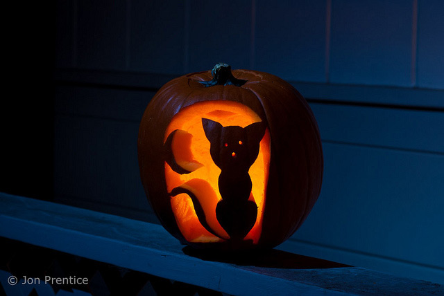 21 Incredible Cat Pumpkin Carvings - Catster
