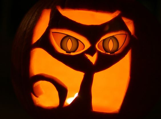 21 Incredible Cat Pumpkin Carvings - Catster