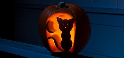 21 Incredible Cat Pumpkin Carvings - Catster
