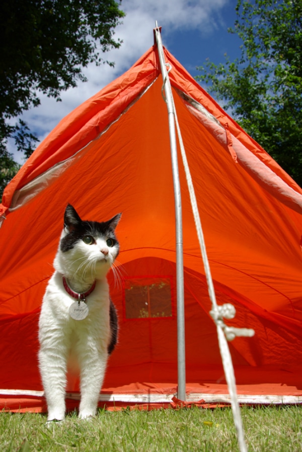 You May Make Your Camping Experience Both Fun And Safe With These Top Suggestions 4