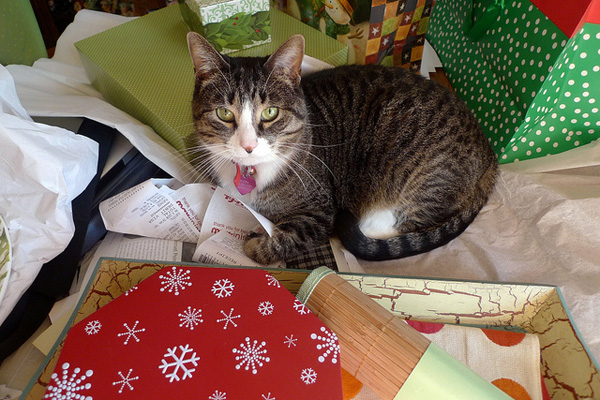 Paper cat meaning picture