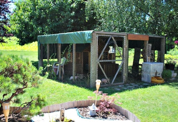 A catio.