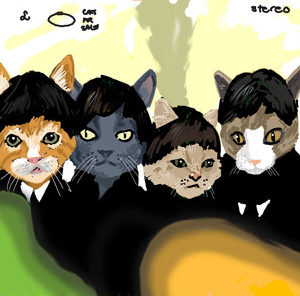 Image result for beatles cats