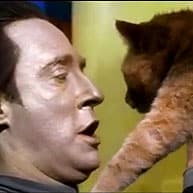star trek assignment earth cat star trek assignment earth cat