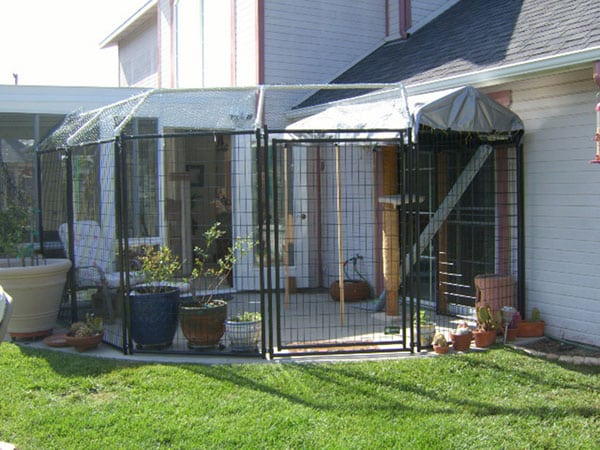 I Designed And Built My Dream Catio And You Can Too Catster
