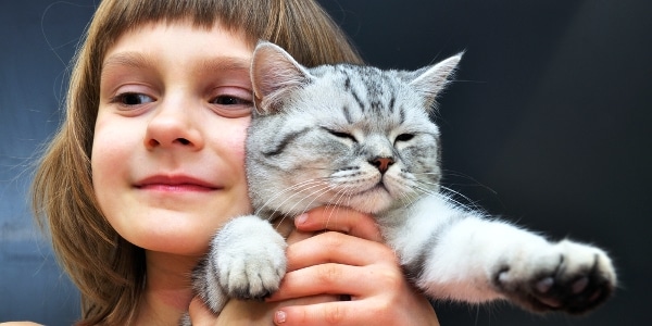 Download Children S Pedialyte For Cats Photos