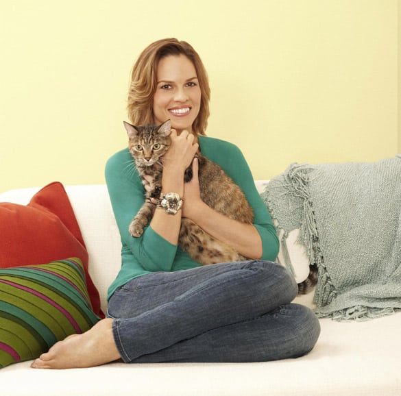 The Cats Meow Interviews Hilary Swank Catster 