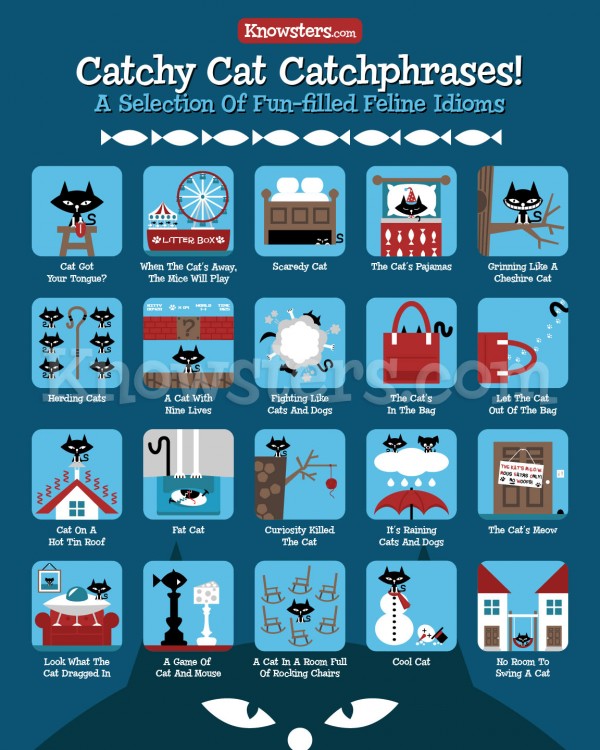 Buy Cool Cat Catchphrase Poster & Support Best Friends Animal Sanctuary