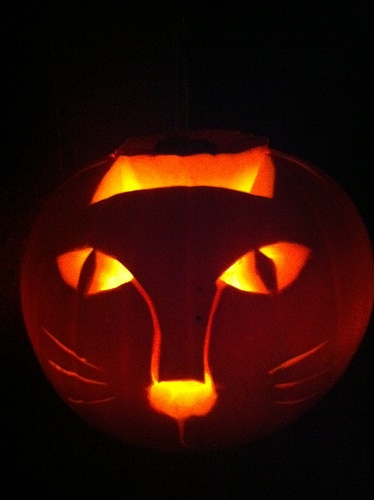 13 Cat Pumpkin-Carving Ideas for Halloween - Catster