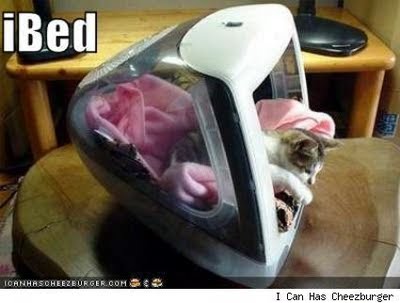 cat bed computer monitor build need weekend catster cats source farm4 flickr