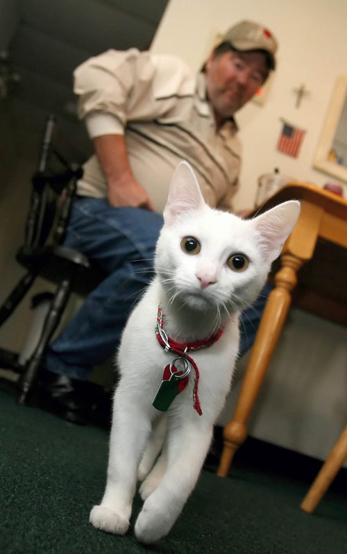 at home vet services