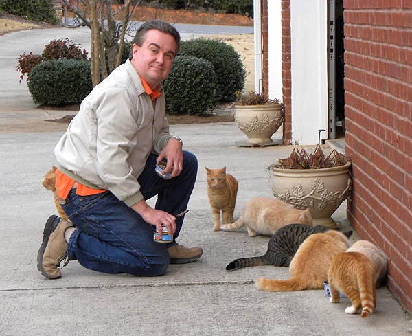 how to care for a stray cat
