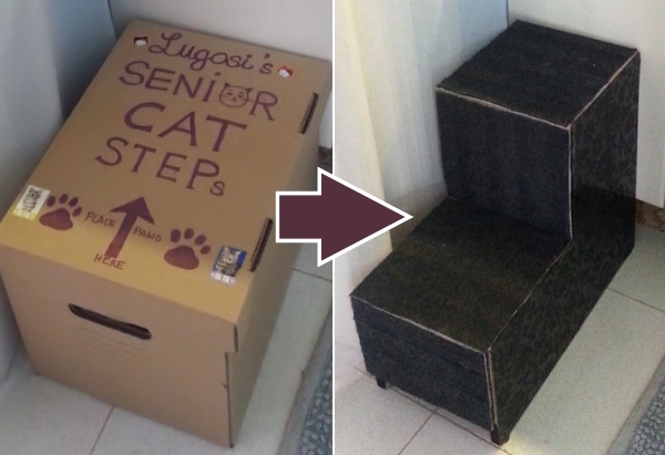 cat steps