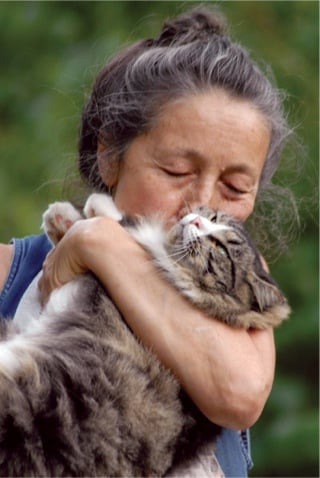 Meet Siglinda Scarpa, a Cat-Loving Artist Who Opened ...