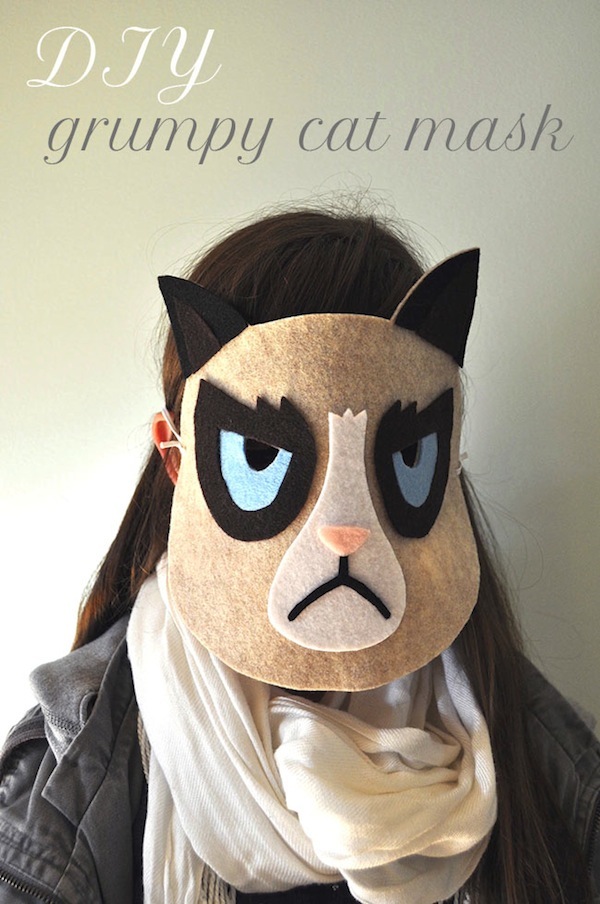 5-last-minute-diy-halloween-projects-inspired-by-cats-catster