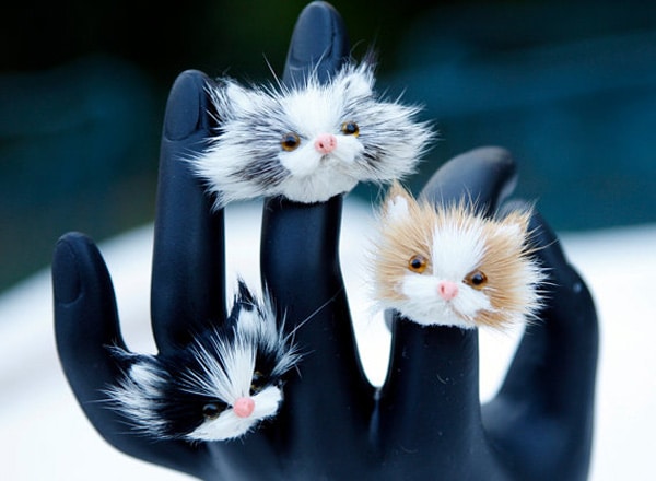 10 Holiday Gifts Under 20 for the Cat Lovers in Your Life 10 Holiday Gifts Under 20 for the Cat Lovers in Your Life