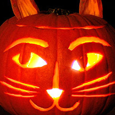 6 Cat-Themed Jack-o-Lantern Ideas for You and Your Kids - Catster