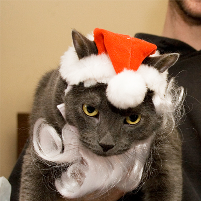 Guess What? We Found Your Christmas Morning Soundtrack and It Features CATS - Catster