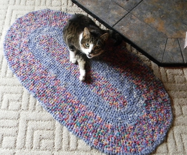 puzzle rug for cats