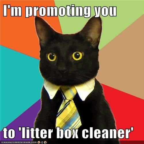 litter-box-cleaner.jpg